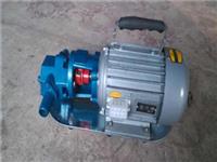 WCB微型手提式齿轮油泵-WCB齿轮油泵-手提式齿轮泵